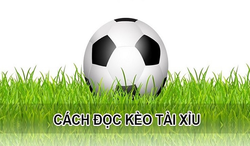 Cách đọc kèo tài xỉu chính xác nhất